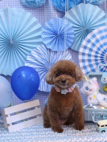 20231130フーちゃん